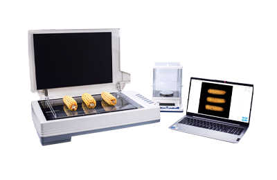 玉米考种仪精准育种的技术变革