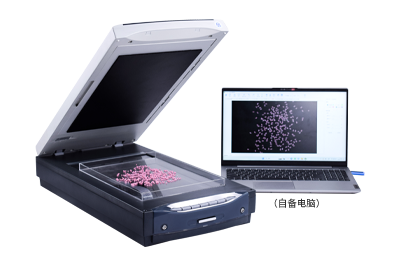 为什么大米加工精度测定仪正在从“人工目测”走向“图像智能判定”